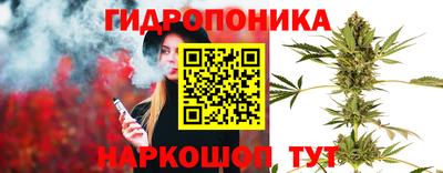 герыч Боровичи