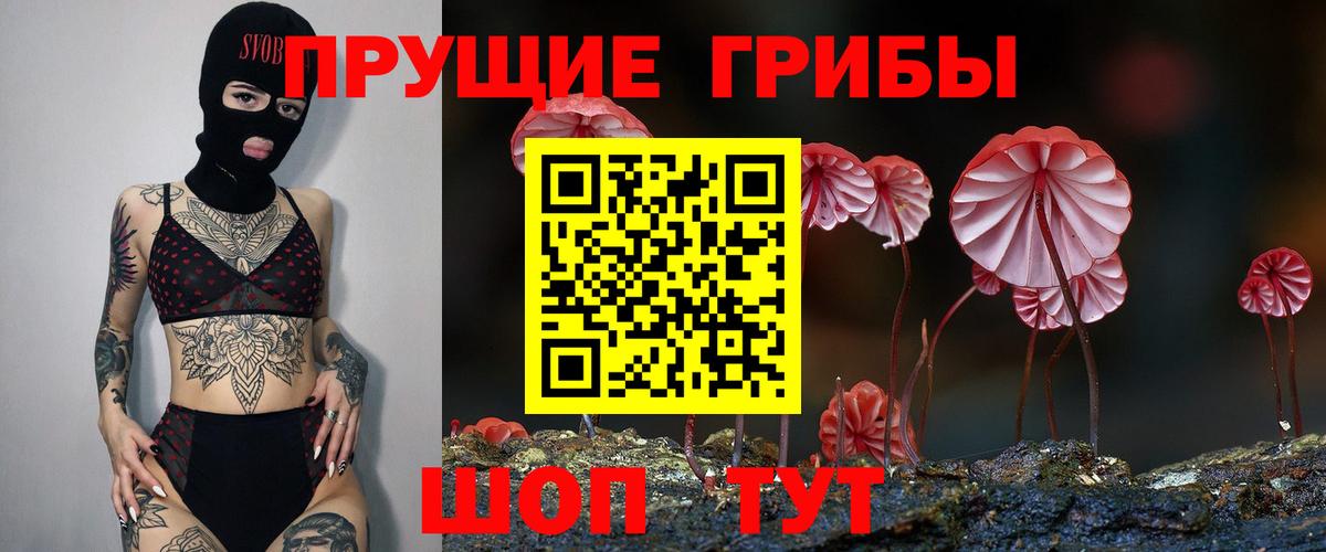 Галлюциногенные грибы мухоморы Рубцовск