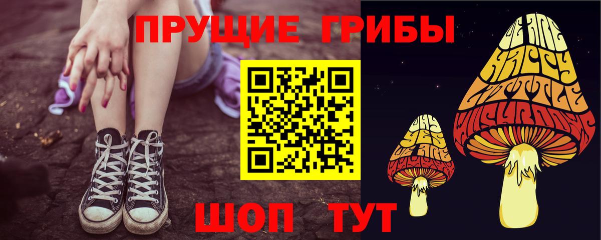 Псилоцибиновые грибы прущие грибы  Вход с VPN  где можно купить   Рубцовск 